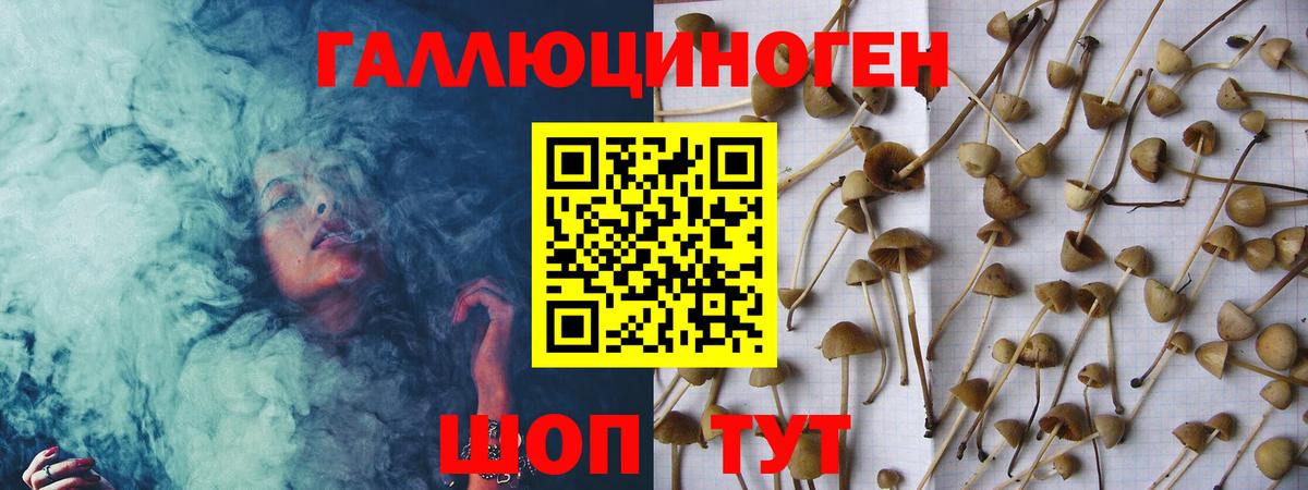 Серов  Галлюциногенные грибы Cubensis  Псилоцибиновые грибы Magic Shrooms  Вход с VPN 