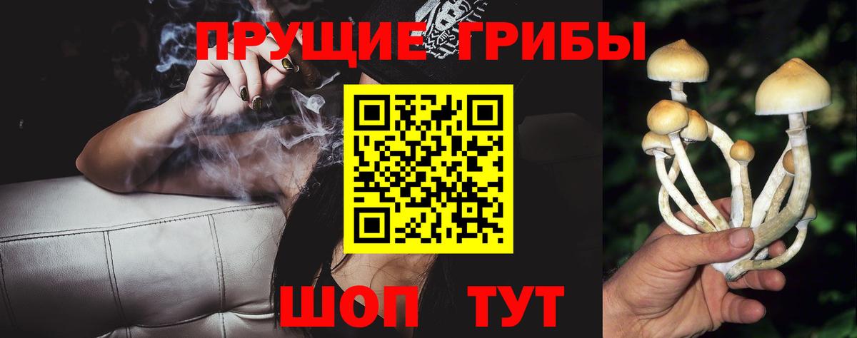 Псилоцибиновые грибы мицелий Серов